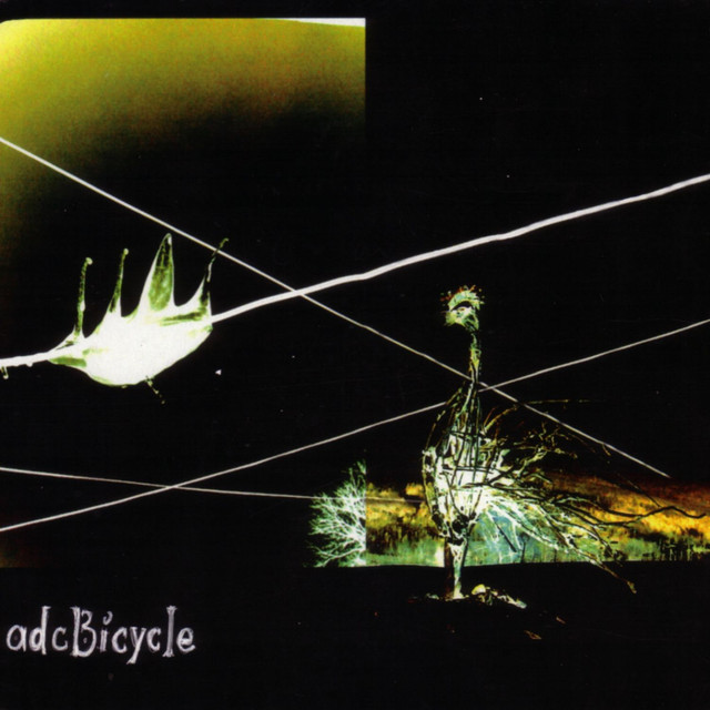AdcBicycle cover