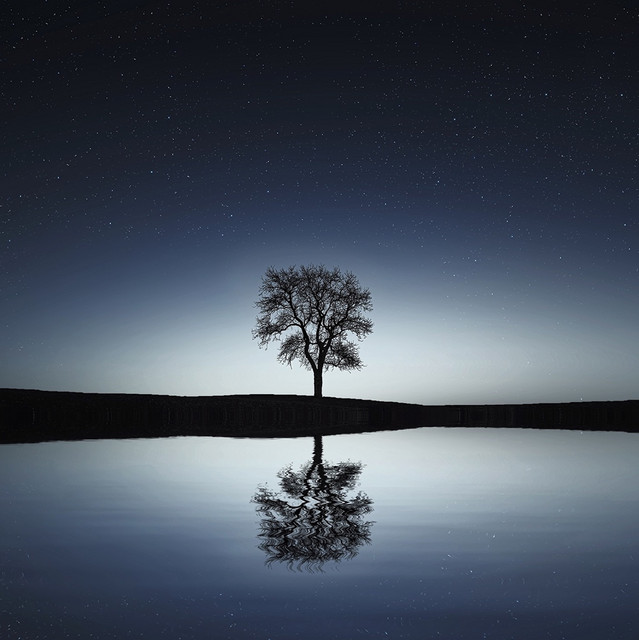 Deeply Relaxing Melodies for Stress Relief cover art