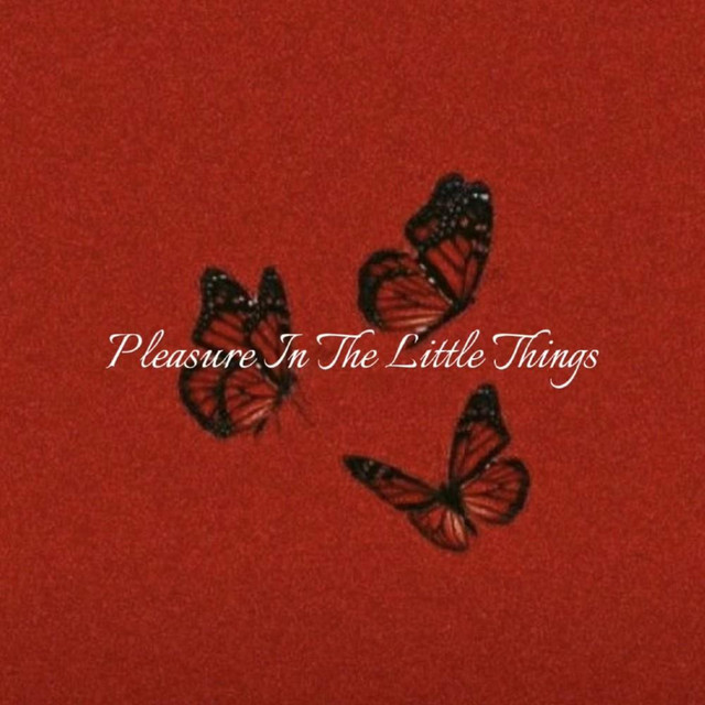 Pleasure In The Little Things cover art