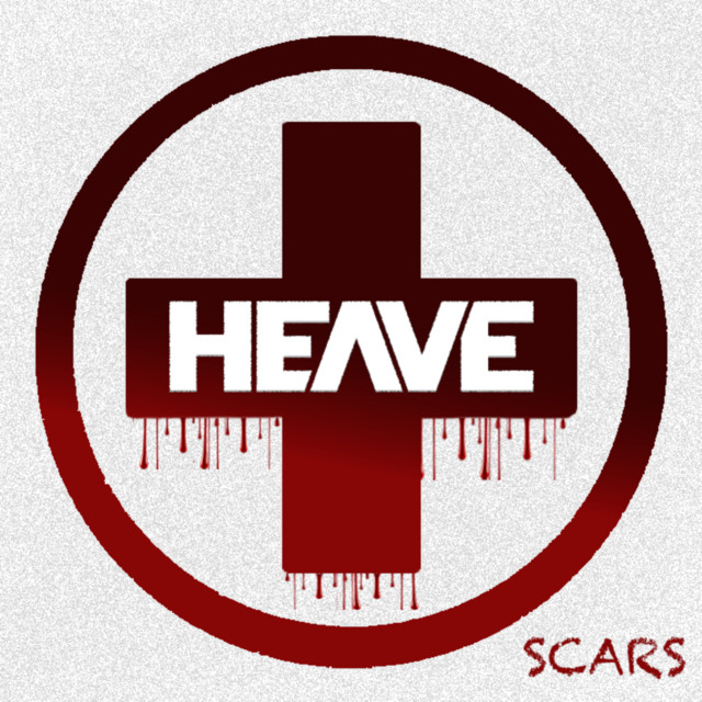 SCARS cover