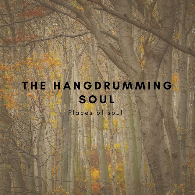 Niger - song and lyrics by The Hangdrumming Soul | Spotify
