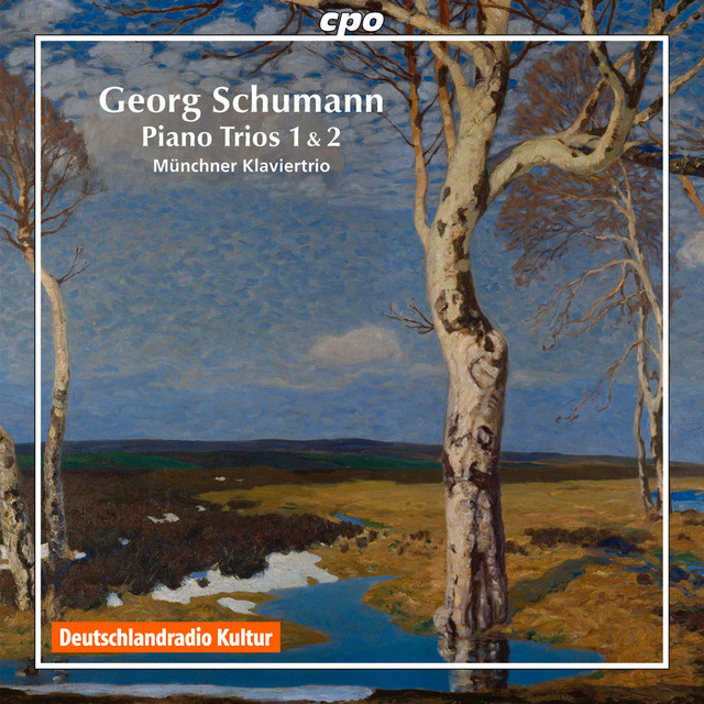 Piano Trio No. 1 in F Major, Op. 25: III. Allegretto grazioso cover art