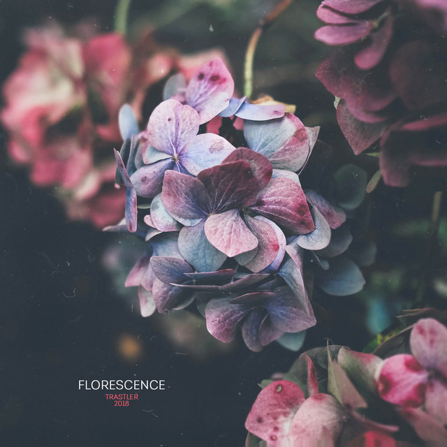 Florescence cover