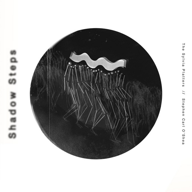 Shadow Steps cover