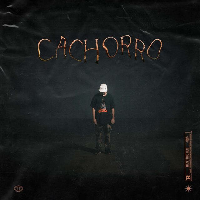 Cachorro cover art
