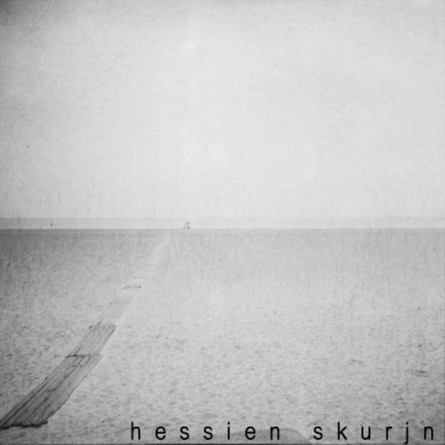 Skurjn cover