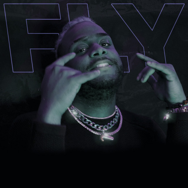Fly cover art