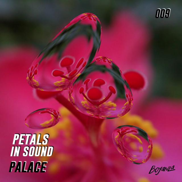 Palace cover art