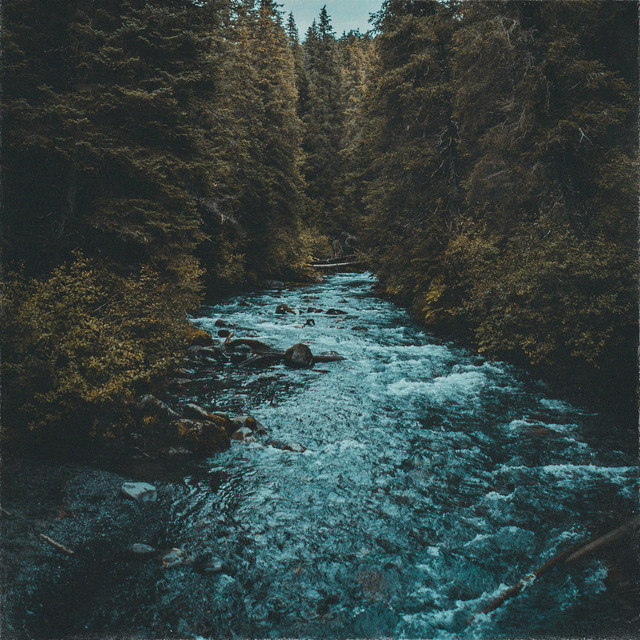 Tidal Creek