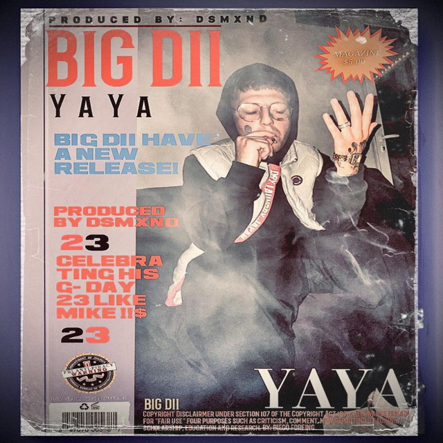 Y A Y A album image