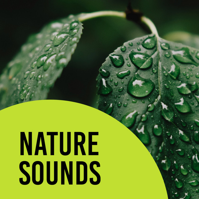 Nature Sounds cover art