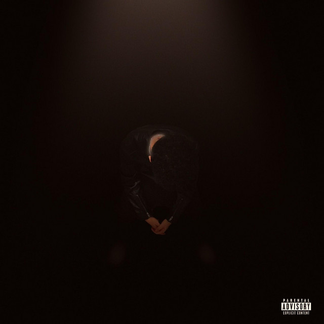 The Midnight Show cover art