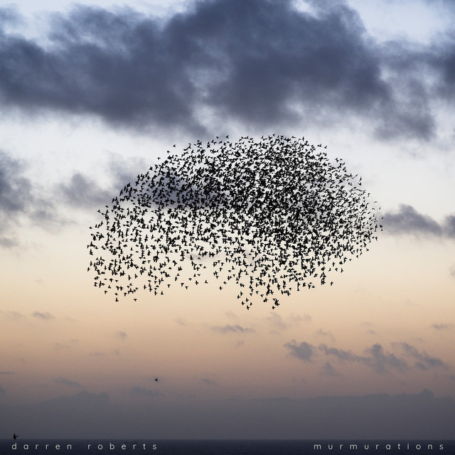 Murmurations cover art