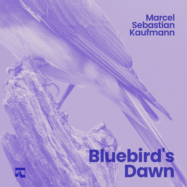 Bluebird's Dawn cover art