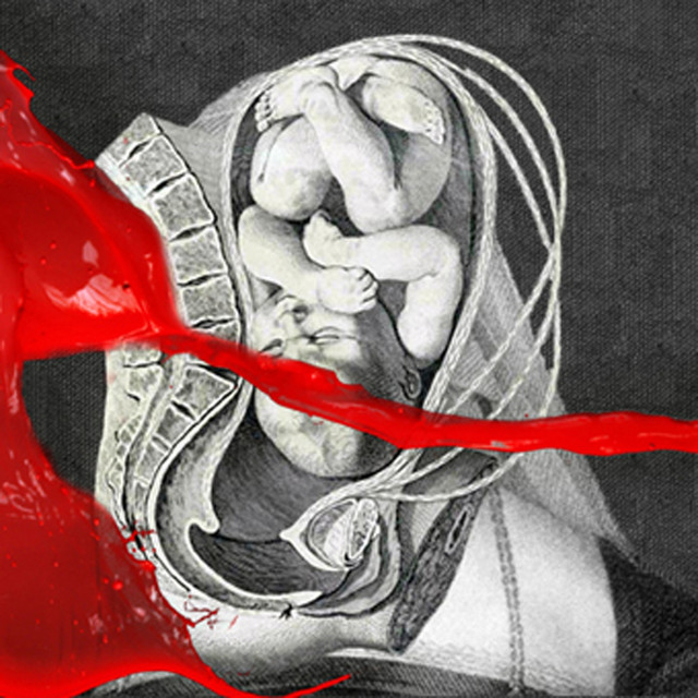 The Unified Field cover art
