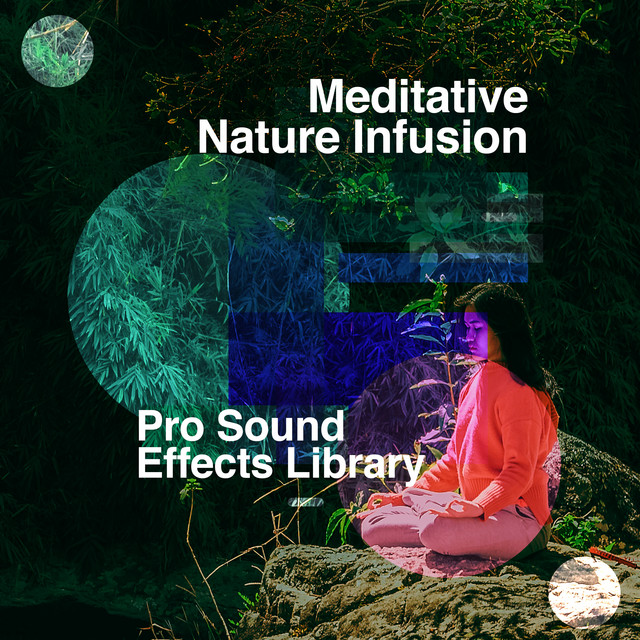 Meditative Nature Infusion - Album by Pro Sound Effects Library | Spotify