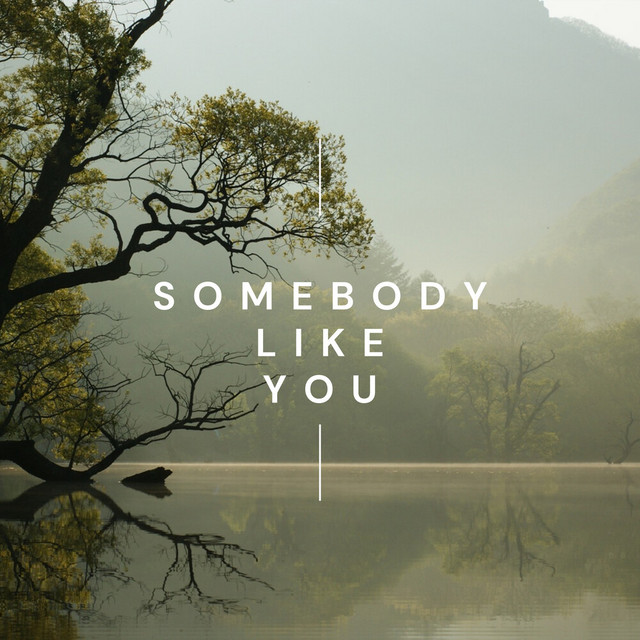 Somebody Like You
