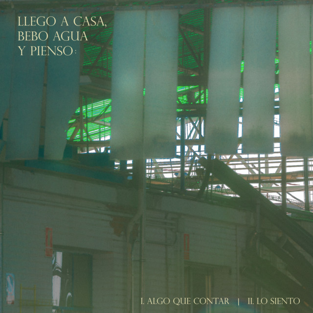 Llego a casa, bebo agua y pienso: cover art