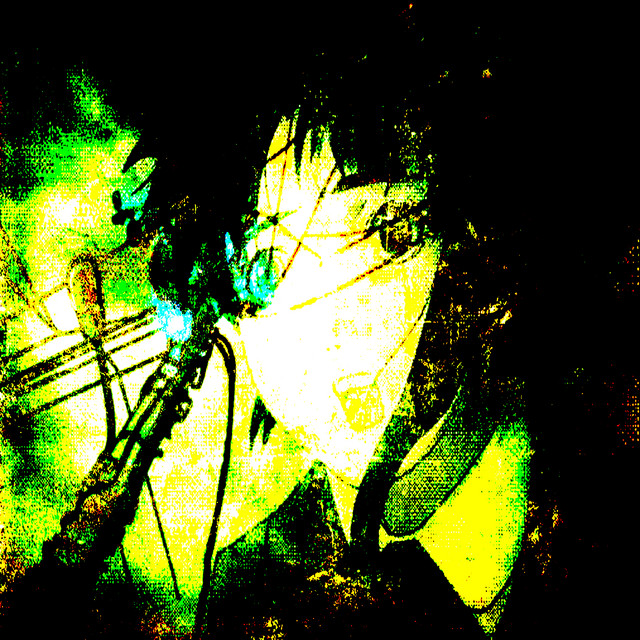 digital disgrace
