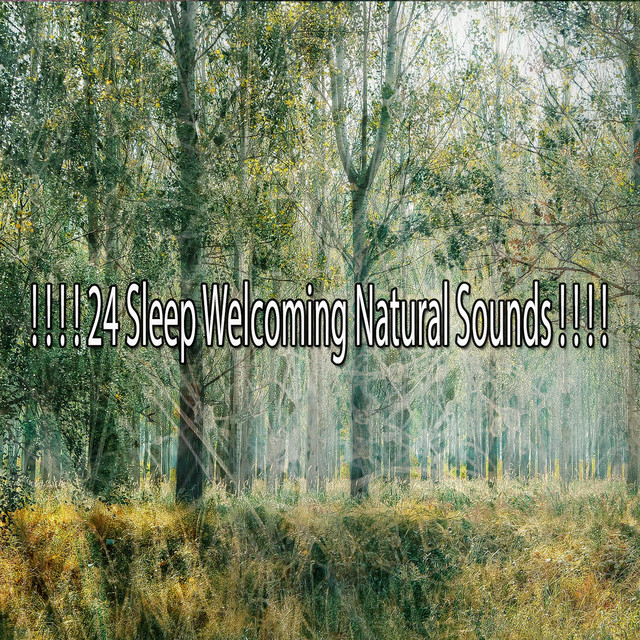 24 Sleep Welcoming Natural Sounds ! ! ! ! - Album by Sleep Sounds of ...