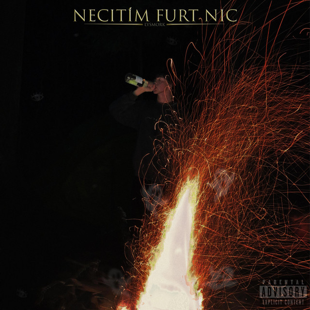 NECÍTÍM FURT NIC cover art