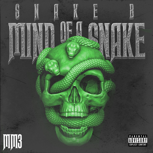 BPM and key for songs by snake b | Tempo for snake b songs | SongBPM ...