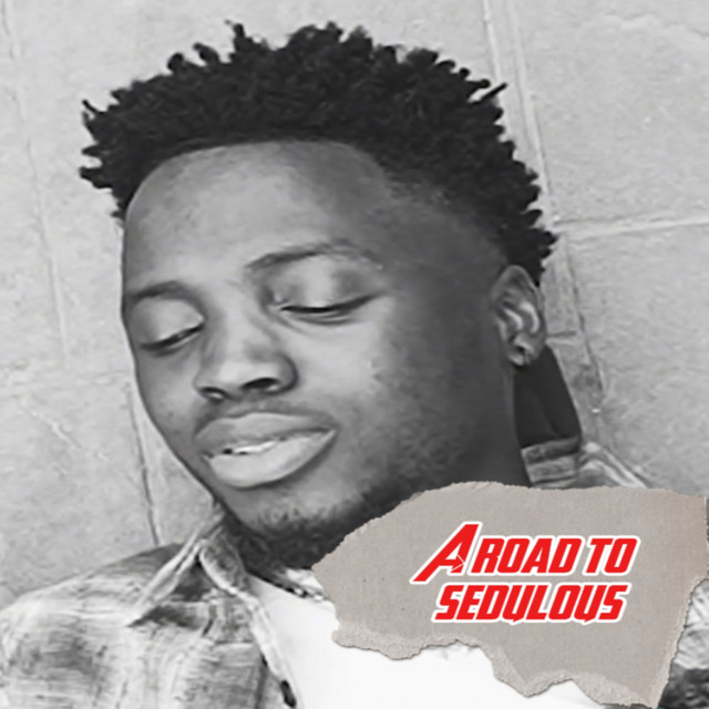 A Road To Sedulous 3 cover art
