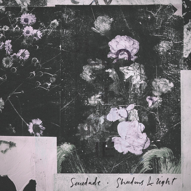Shadows & Light cover art