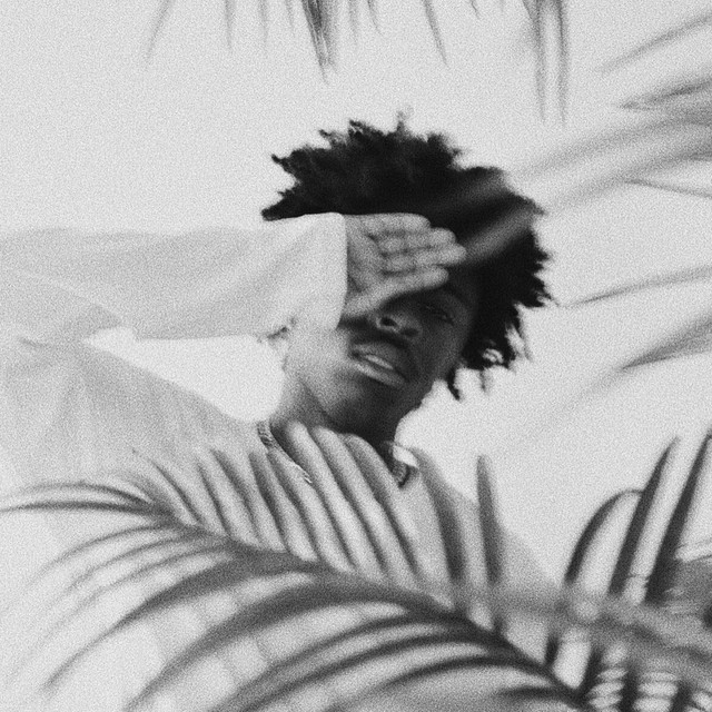 Z E N cover art