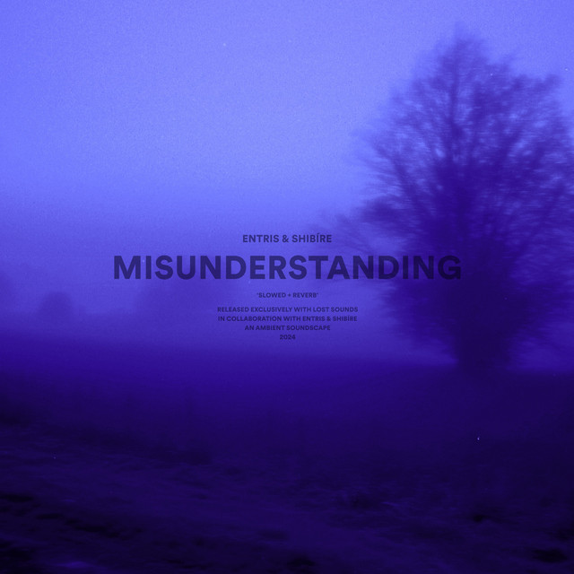 misunderstanding - slowed + reverb