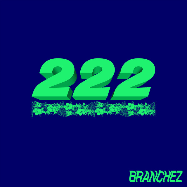 222 cover art