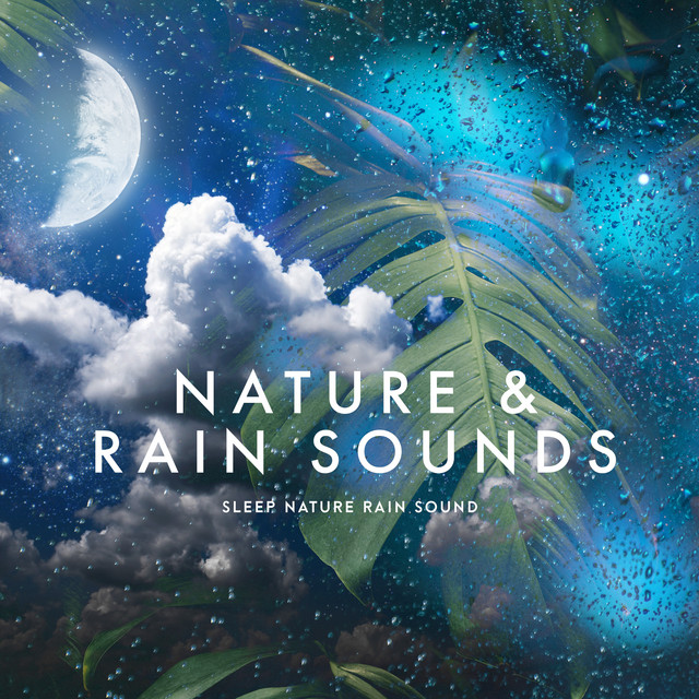 Nature & Rain Sounds - Album by Sleep Nature Rain Sound | Spotify