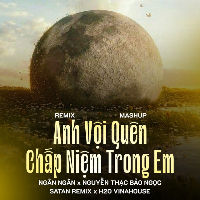 Mashup Anh Vội Quên x Chấp Niệm Trong Em (Remix)