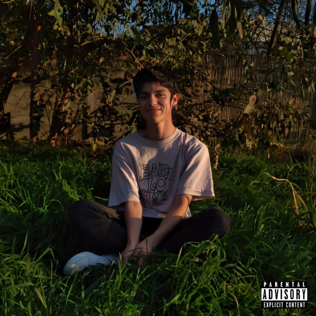 Esencia Imperfecta cover art