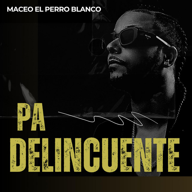 pa delincuente cover art