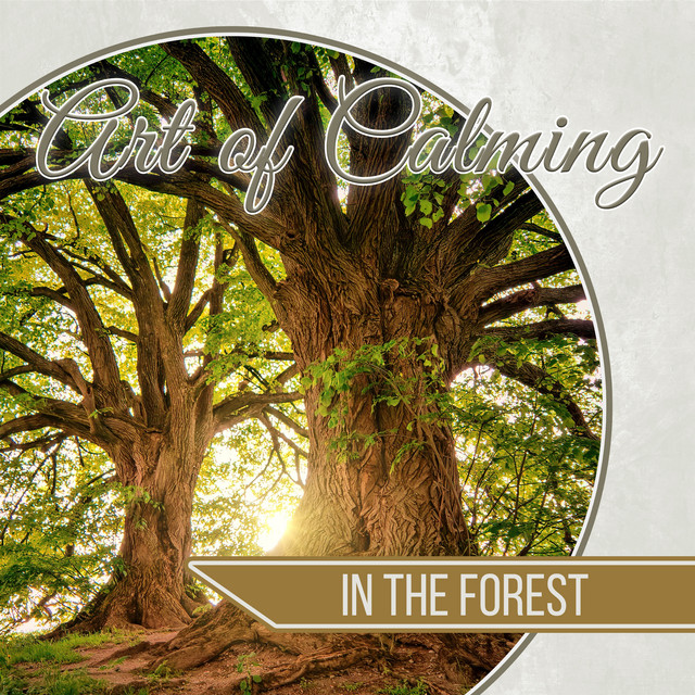 Обкладинка: New Day — Art of Calming
