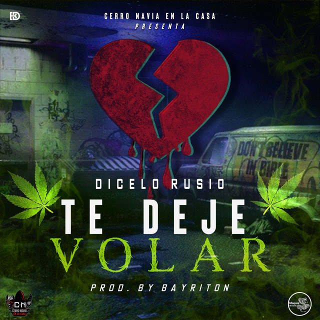 Te Dejé Volar - Audio Oficial