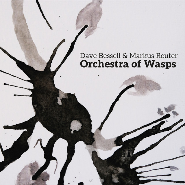 Orchestra of Wasps cover