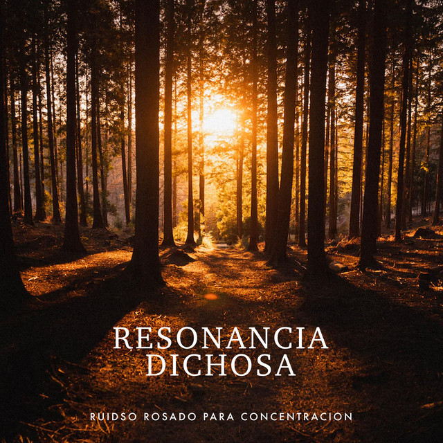 Ruidso Rosado Para Concentracion | Spotify