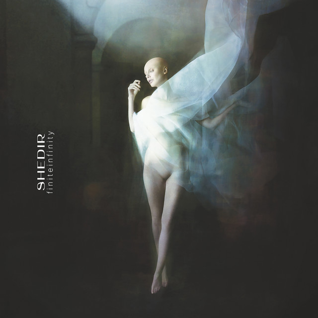 Finite Infinity cover