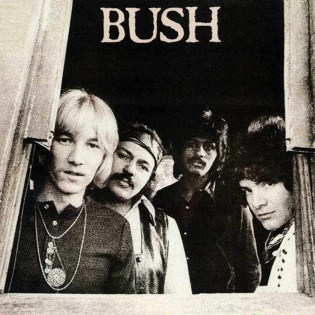 Albumhoes: Bush