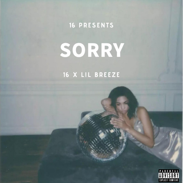 Sorry cover art