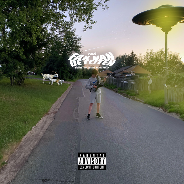 Fax Van De Feiten cover art