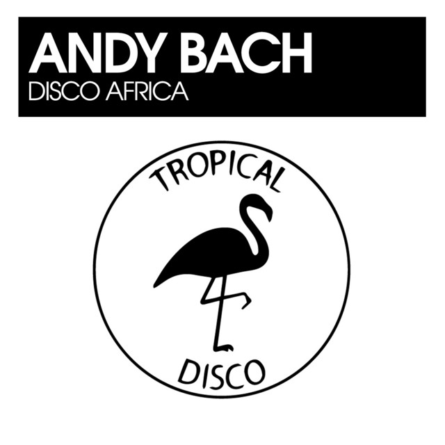 Disco Africa album art