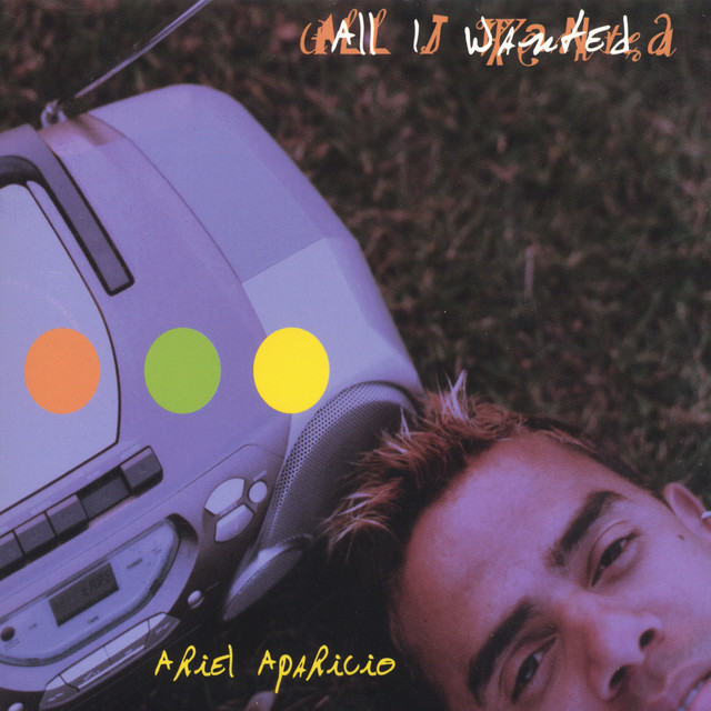 All I Wanted cover