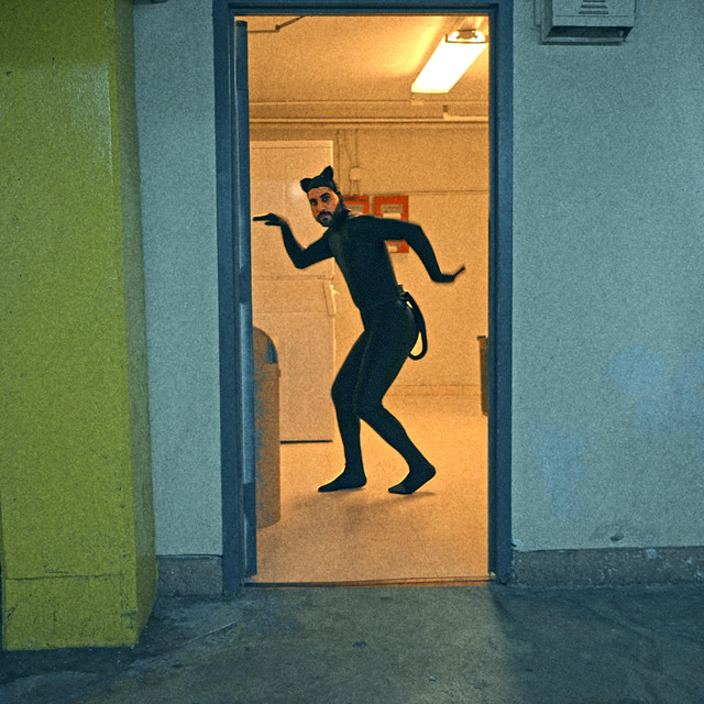 I WANNA BE A CAT cover