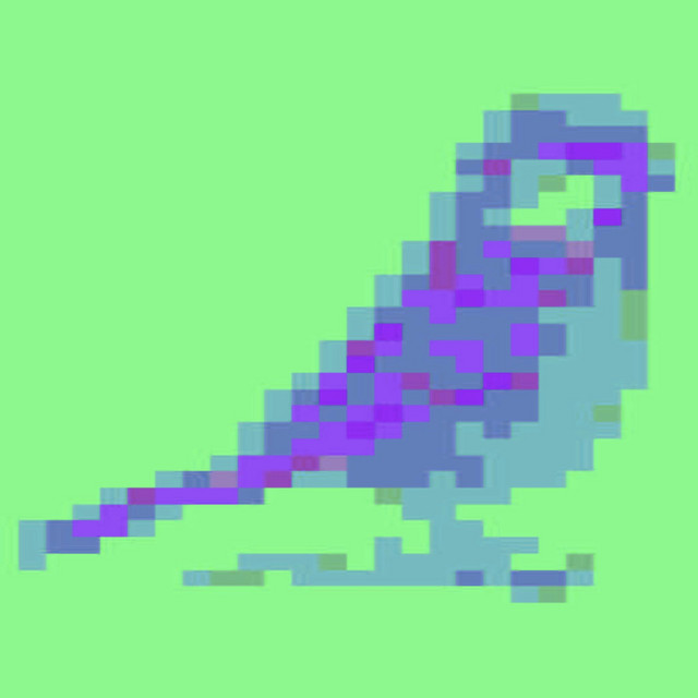Sparrows Delight cover