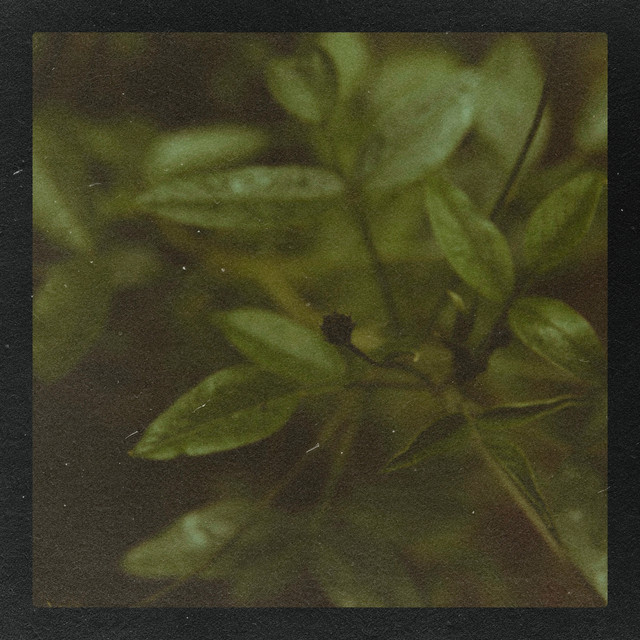 Try Again cover art