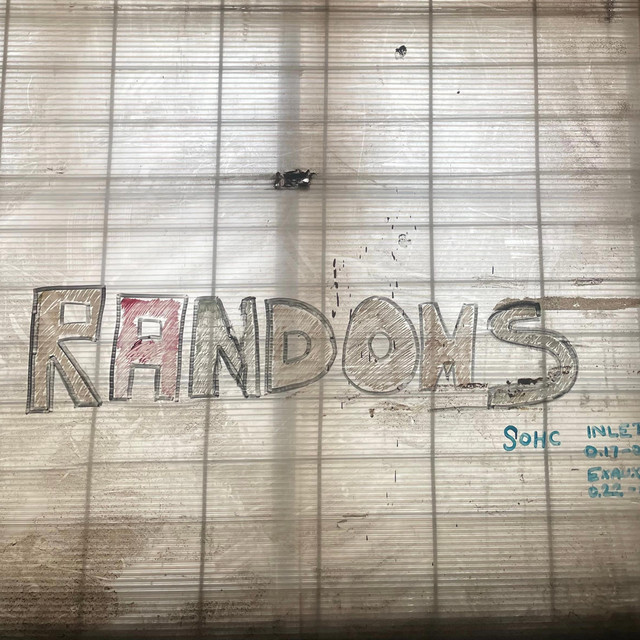 Randoms cover art