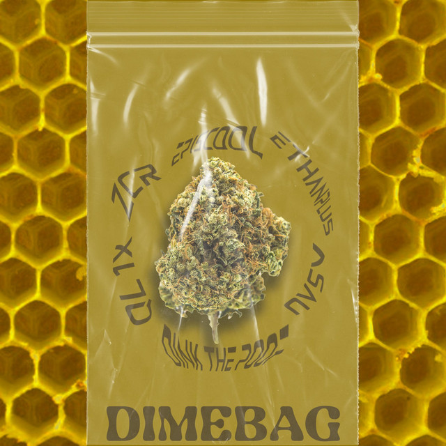 Dimebag cover art